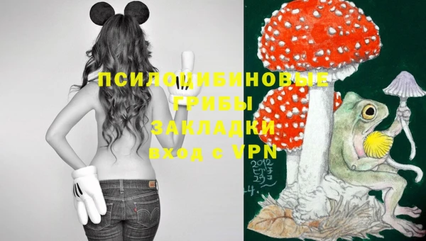 каннабис Алексеевка